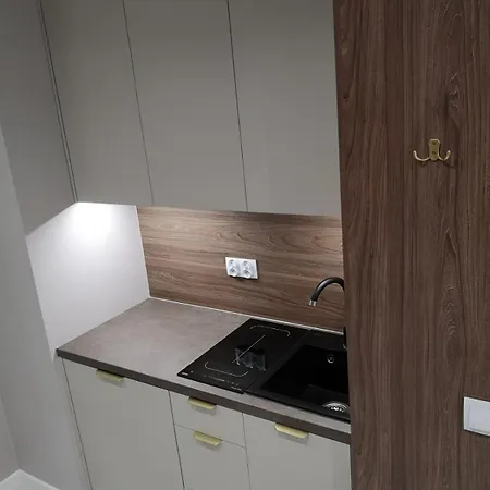 Apartment Targowa Premium Loft National Stadium *
