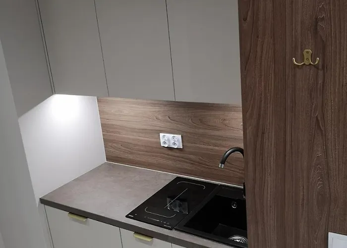 Διαμέρισμα Targowa Premium Loft National Stadium *